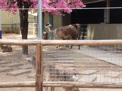 -昆明动物园
