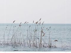 -西湖船菜(湖滨·碧水山庄店)