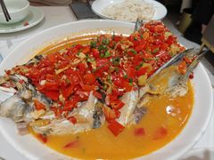 -全乐鱼馆·淳牌有机鱼直营店