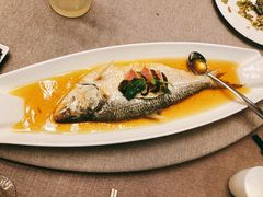 酒香鲥鱼-老兴鲜(黄浦店)