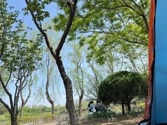 -塘沽森林公园