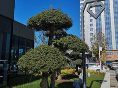 -天津医科大学肿瘤医院(本部院区)