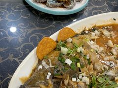 蝶鱼-威海渔村(黄兴路店)