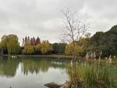 -尚贤河湿地