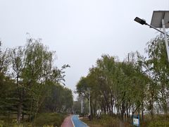 -绿堤公园
