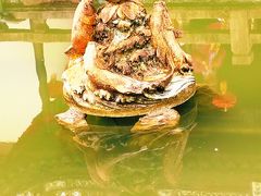 -上海醉白池公园