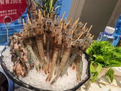 -阳光岛·海鲜盛宴(银泰中心in99店)