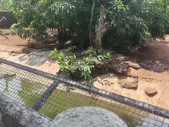 -海南热带野生动植物园