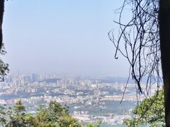 -火炉山森林公园