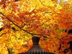 -香山公园