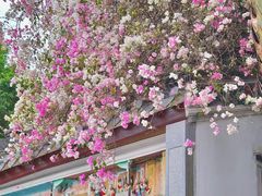 -深圳国际园林花卉博览园