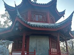 -汇龙潭