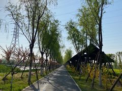 -永定河休闲森林公园