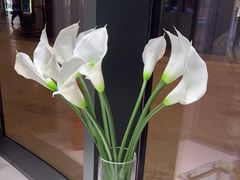-福奈特洗衣洗鞋(宝华广场店)