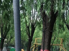 -北戴河集发农业梦想王国