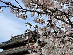 -苏州上方山国家森林公园