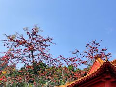 -南沙天后宫景区