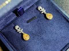 -志龙皇冠吃货椰子铺