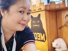 -猫小院猫主题餐厅(南锣旗舰店)
