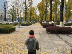-百林公园-两江幸福广场