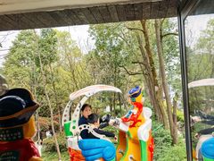 -成飞公园