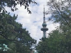 -青岛电视塔