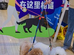 -金茂览秀城