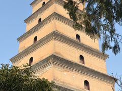 -大慈恩寺(大雁塔)