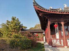 -上海海湾国家森林公园