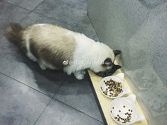 -咖法森林·咖啡  酒吧(天河店)