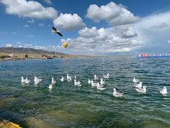 -青海湖国家重点风景名胜区