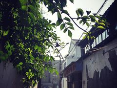 -原怡园面馆(拙政园店)