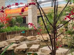 -森谷美食公园(杨行店)