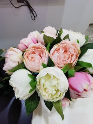 -时间海科学美容