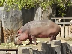 -新疆天山野生动物园