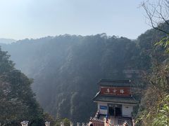 -中国大熊猫保护研究中心雅安碧峰峡基地