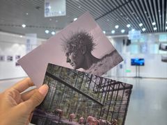 -中国宋庆龄青少年科技文化交流中心