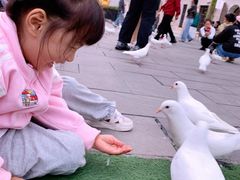 -华谊兄弟（长沙）电影小镇