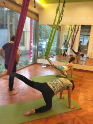 -一花一叶瑜伽生活馆