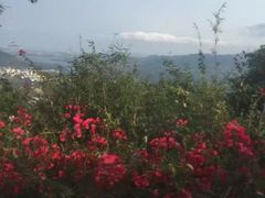 -呀诺达热带雨林