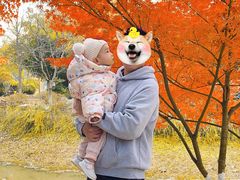 -堤角公园