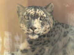 -青藏高原野生动物园