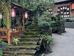 -青城甲(青城山店)