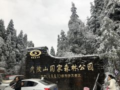 -武陵山森林公园