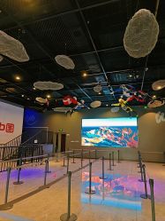 -飞览天下沉浸式飞行体验(北京旗舰店)