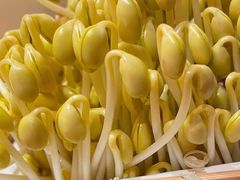 -巴奴毛肚火锅(二七万达店)