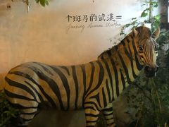 -大水的店(昙华林店)