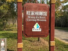 -上海海湾国家森林公园