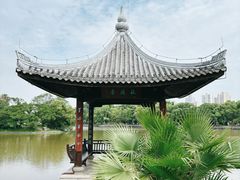 -江心屿景区