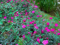 -人民公园(罗湖区)